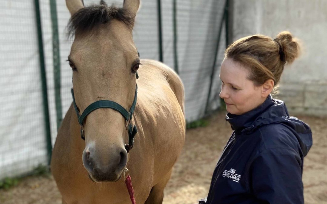 Etablir une relation avec l&rsquo;animal