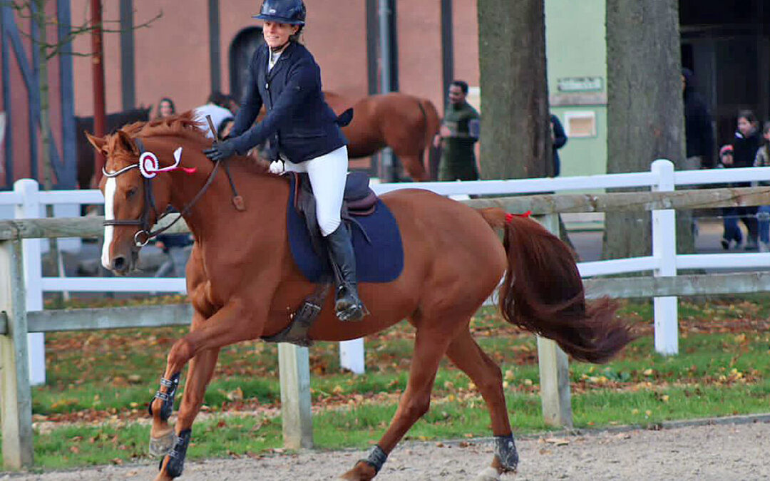 Quatre médailles pour l&rsquo;ACBB équitation